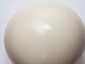 Uovo di struzzo come arredo